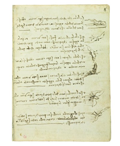 Códice sobre el vuelo de los pájaros, Folio 8 recto de Leonardo da Vinci